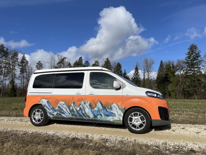 Design-Teilfolierung | Paket 3+ | Beratung, Grafik, Produktion & Montage